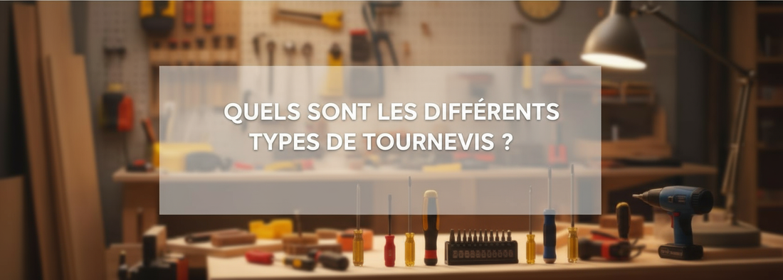 Bannière du blog quels sont les différent types de tournevis