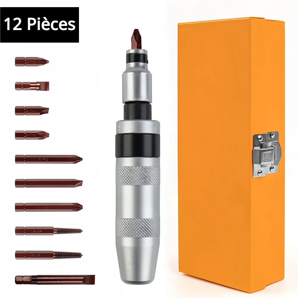 vue générale tournevis frapper 12 pièce